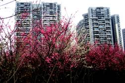 1472001930140342.jpg 1.JPG