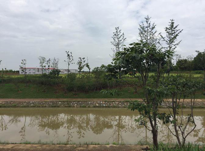 1472196949571685.jpg 17.jpg