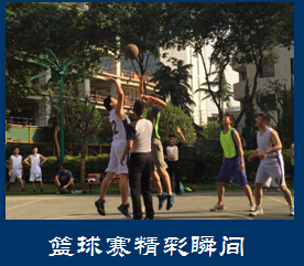 1472456239820147.jpg 3.jpg