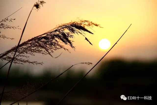 1496418537106974.jpg 無(wú)3.webp.jpg