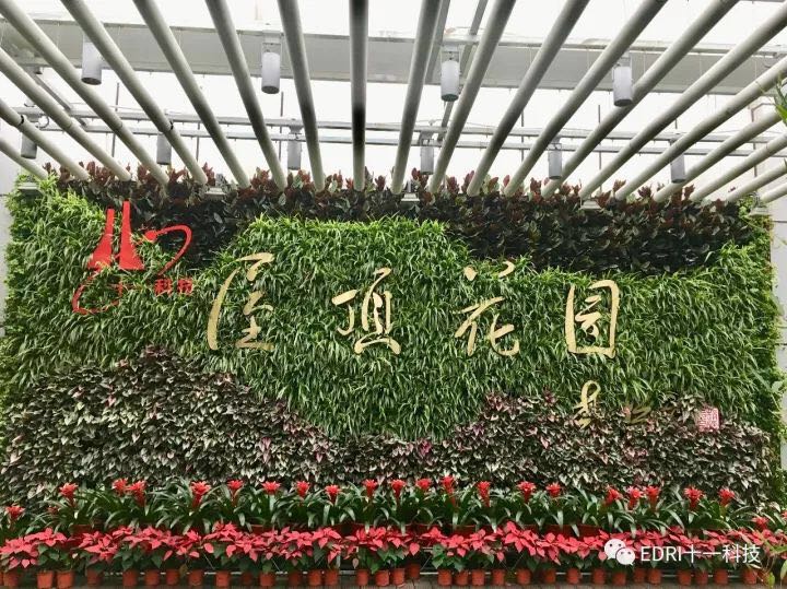 1514967488884897.jpg 35.jpg