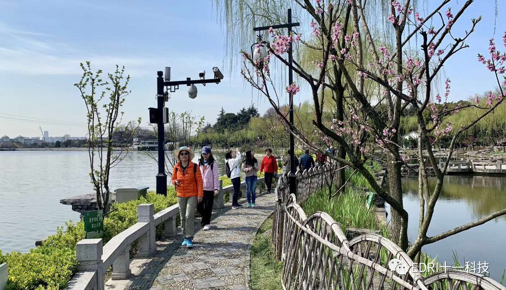 1553821993825543.jpg 4.jpg